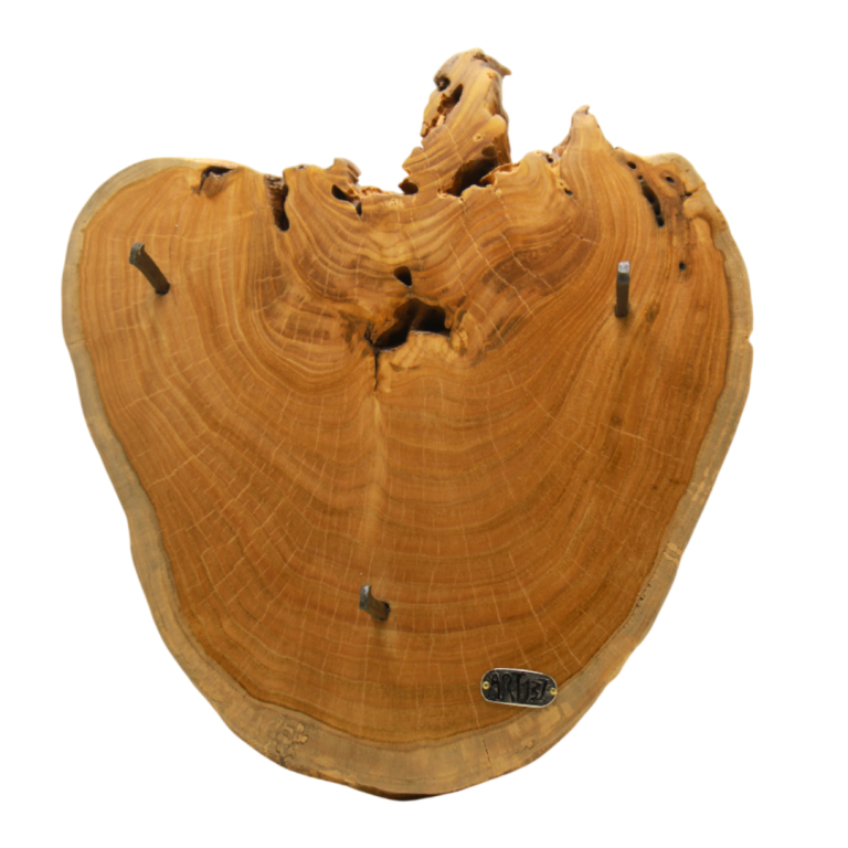 chestnut wood wall hanger with lacquered iron hooks ART137