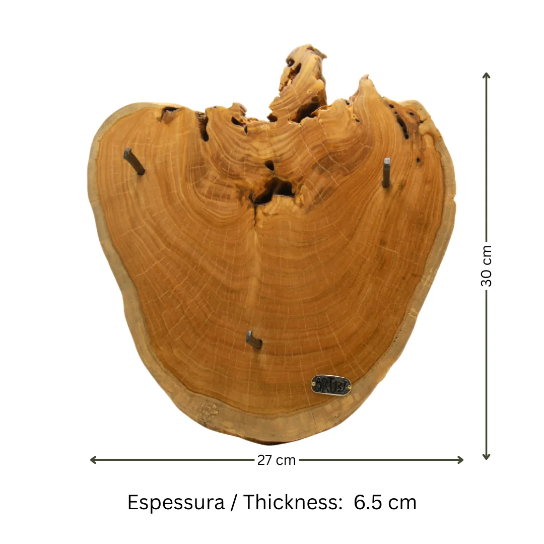 cabide de parede em madeira de castanho com ganchos em ferro lacado ART137