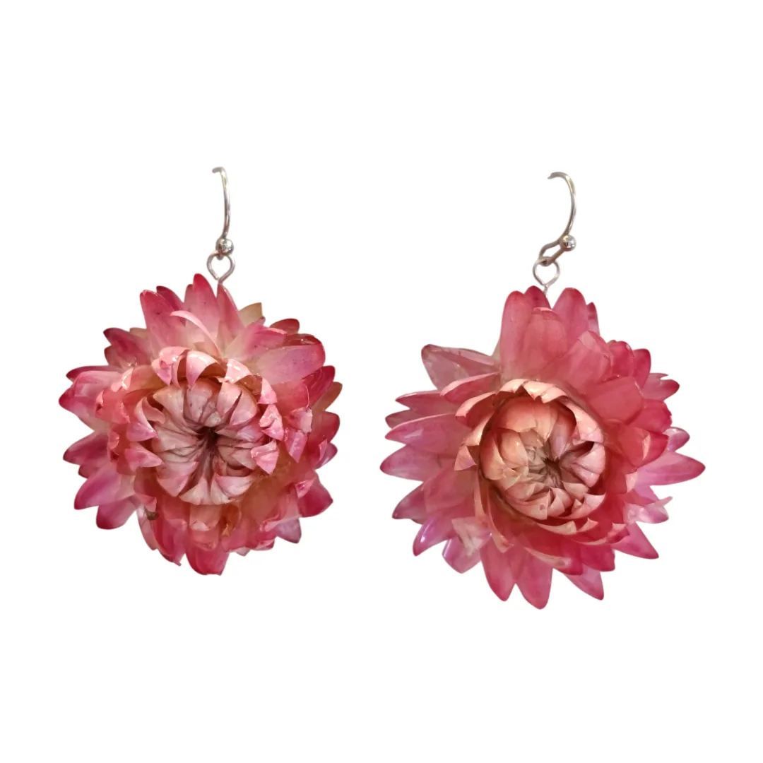 Par de brincos com flor natural rosa em resina cristal, feitos à mão, com gancho prateado.